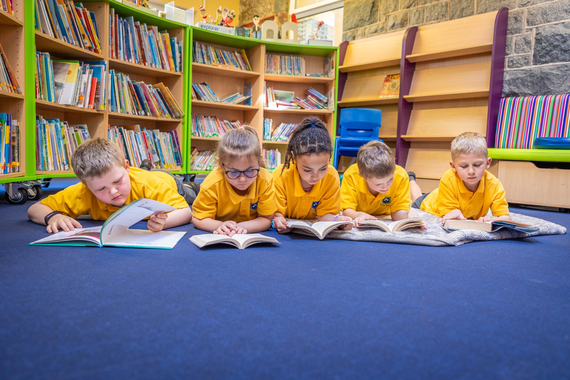 Curriculum image